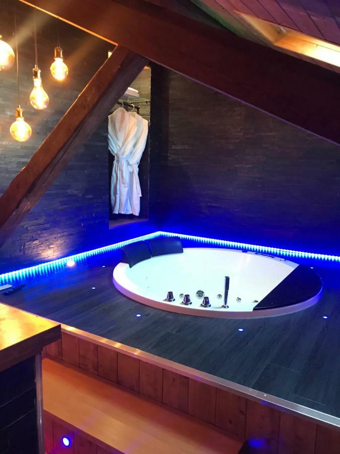 Le Chalet Loft And Spa Villeurbanne Eksteriør billede